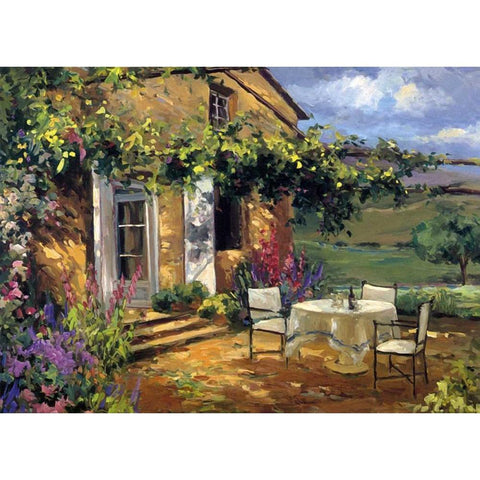 Sunlit Terrace Black Modern Wood Framed Art Print with Double Matting by Stevens, Allayn