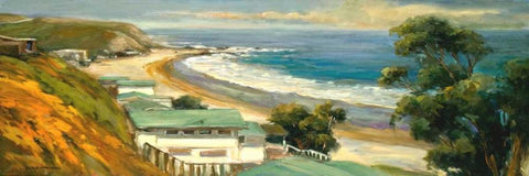 Sunlit Cove Black Ornate Wood Framed Art Print with Double Matting by Stevens, Allayn