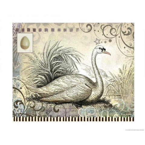 Swan White Modern Wood Framed Art Print by Eisner, Viv