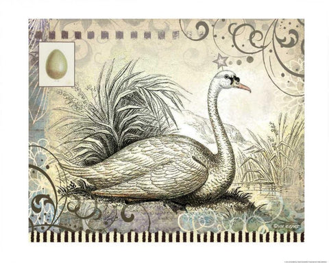 Swan White Modern Wood Framed Art Print with Double Matting by Eisner, Viv