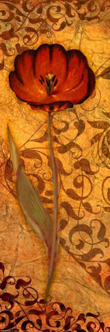 Red Tulip One White Modern Wood Framed Art Print with Double Matting by Eisner, Viv