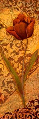 Red Tulip Two White Modern Wood Framed Art Print with Double Matting by Eisner, Viv