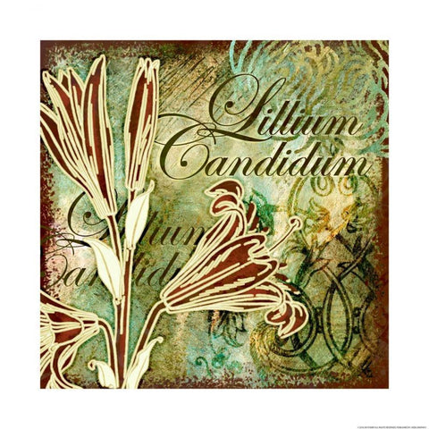 Lillies 2 Black Modern Wood Framed Art Print with Double Matting by Eisner, Viv