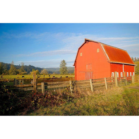 Red Barn With Cows Black Modern Wood Framed Art Print by Vizvary, Susan