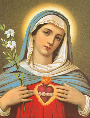 HL. HERZ MARIAE White Modern Wood Framed Art Print with Double Matting by Anonymous