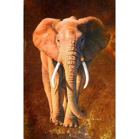 Elephant 02 Black Modern Wood Framed Art Print by Chamard, Jean-Marc