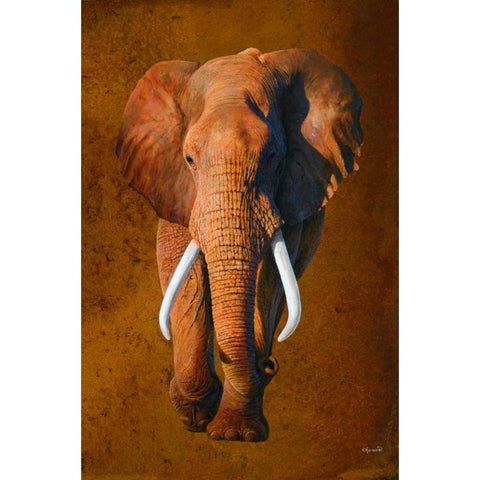 Elephant 03 White Modern Wood Framed Art Print by Chamard, Jean-Marc