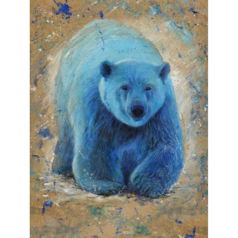 Polar bear Black Modern Wood Framed Art Print with Double Matting by Chamard, Jean-Marc