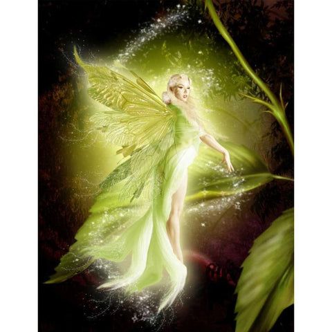 Fairy 5 Black Modern Wood Framed Art Print with Double Matting by Babette