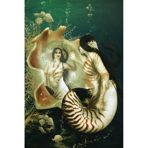 Nautilus Black Modern Wood Framed Art Print with Double Matting by Babette