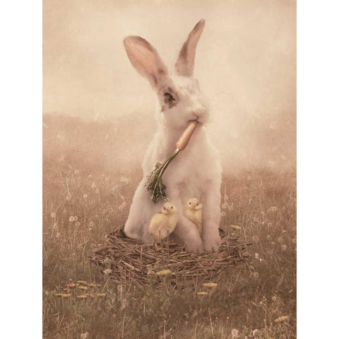 Easter Bunny White Modern Wood Framed Art Print by Babette