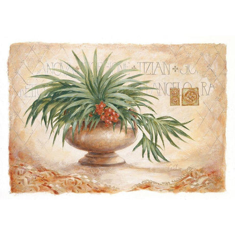 Tizian White Modern Wood Framed Art Print by Ancilotti, Claudia