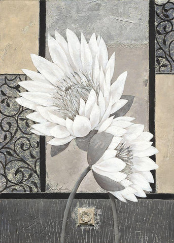White Waterlily White Modern Wood Framed Art Print with Double Matting by Ancilotti, Claudia