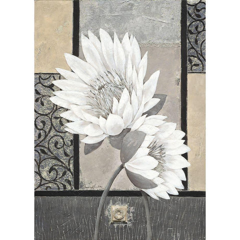 White Waterlily Black Modern Wood Framed Art Print by Ancilotti, Claudia
