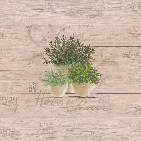 Herbes de Provence Black Ornate Wood Framed Art Print with Double Matting by Ancilotti, Claudia