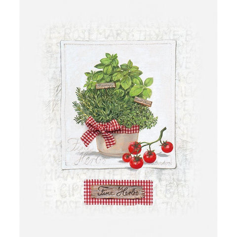 Fine Herbs, klein Black Modern Wood Framed Art Print with Double Matting by Ancilotti, Claudia