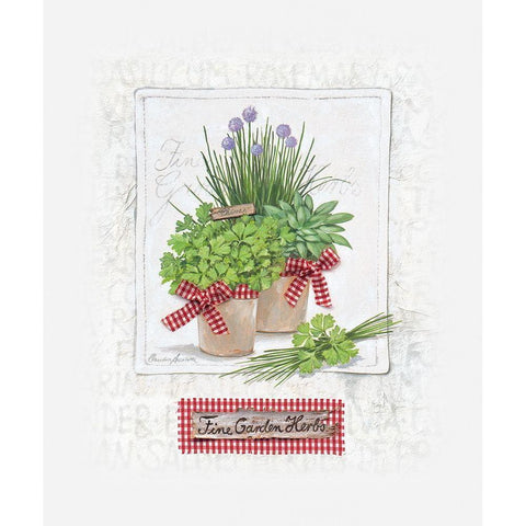 Fine Garden Herbs, klein White Modern Wood Framed Art Print by Ancilotti, Claudia