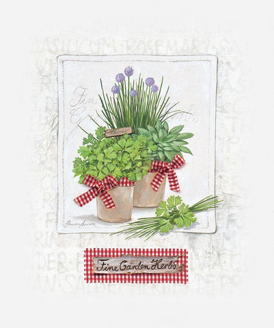 Fine Garden Herbs, klein White Modern Wood Framed Art Print with Double Matting by Ancilotti, Claudia