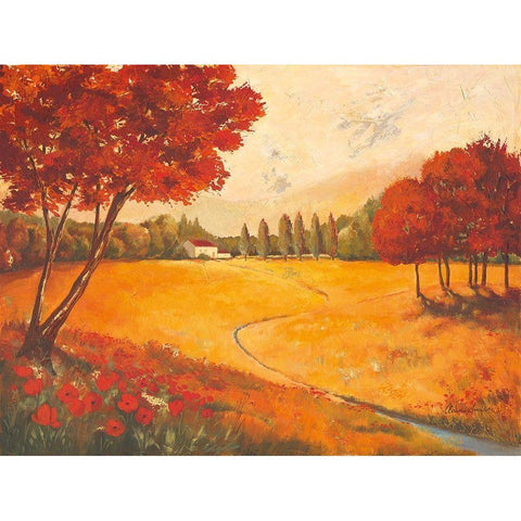 Indian Summer Black Modern Wood Framed Art Print with Double Matting by Ancilotti, Claudia