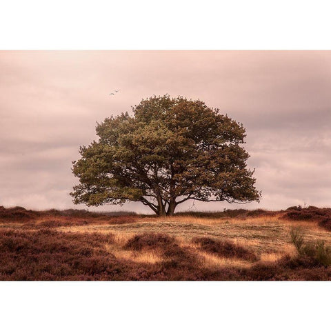 Tree Gold Ornate Wood Framed Art Print with Double Matting by Henk van Gog