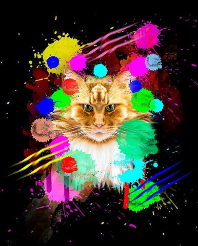 Cat White Modern Wood Framed Art Print with Double Matting by Henk van Gog