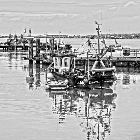 BOAT IN BLACK AND WHITE I White Modern Wood Framed Art Print by Fossey, George