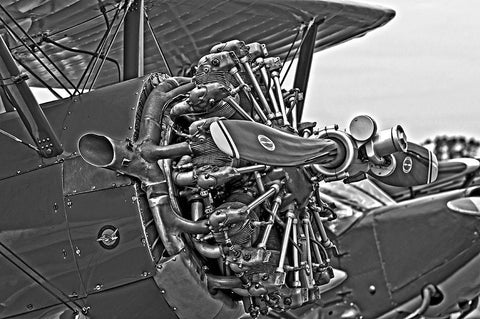 ENGINE IN BLACK AND WHITE II Black Ornate Wood Framed Art Print with Double Matting by Fossey, George