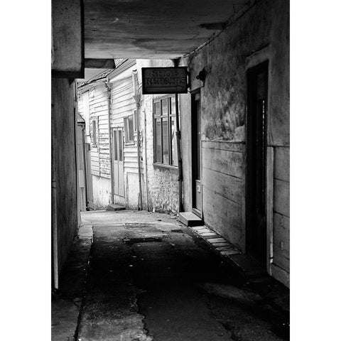 RUN-DOWN BUILDINGS II Black Modern Wood Framed Art Print by Carlier, Dick