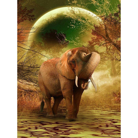 The Elephant Ricardo 2 Black Modern Wood Framed Art Print with Double Matting by Babette