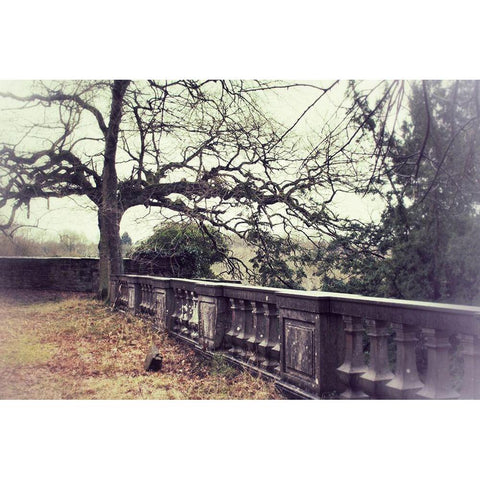 Lonely Tree Gold Ornate Wood Framed Art Print with Double Matting by Carlier, Dick