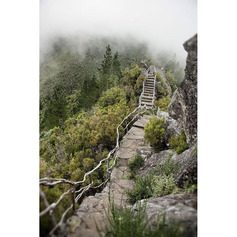 Bridge To The Clouds Black Modern Wood Framed Art Print with Double Matting by Carlier, Dick