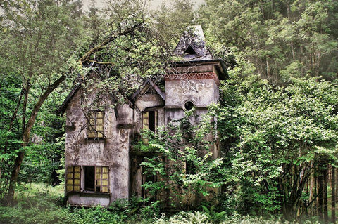 Old House In Green White Modern Wood Framed Art Print with Double Matting by Carlier, Dick