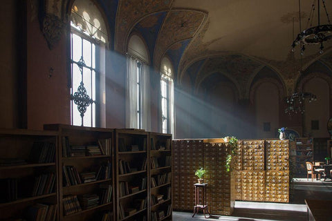 Library White Modern Wood Framed Art Print with Double Matting by Carlier, Dick