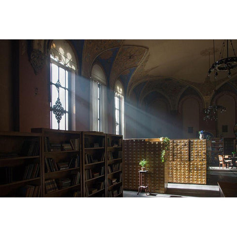 Library Gold Ornate Wood Framed Art Print with Double Matting by Carlier, Dick