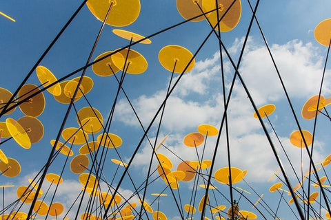 Yellow Disks I Black Ornate Wood Framed Art Print with Double Matting by Carlier, Dick