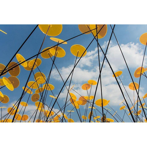 Yellow Disks I White Modern Wood Framed Art Print by Carlier, Dick