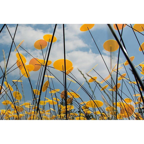 Yellow Disks II Black Modern Wood Framed Art Print with Double Matting by Carlier, Dick