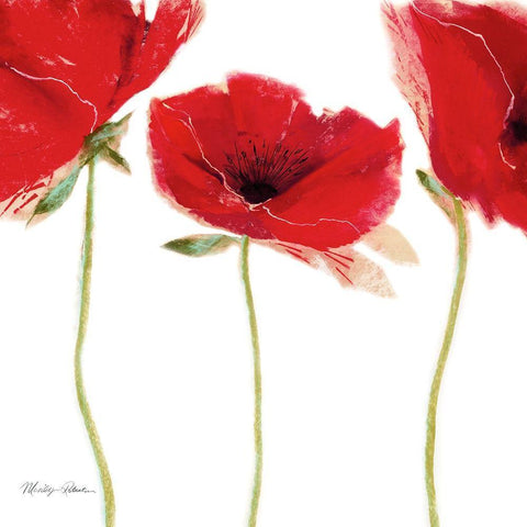 Flamenco Poppy White Modern Wood Framed Art Print by Robertson, Marilyn