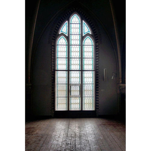 Noble Window II Gold Ornate Wood Framed Art Print with Double Matting by Carlier, Dick