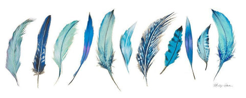 Birds Of A Feather Black Ornate Wood Framed Art Print with Double Matting by Robertson, Marilyn