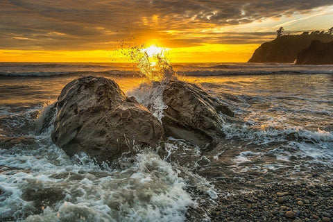 Splash I White Modern Wood Framed Art Print with Double Matting by Kostka, Vladimir