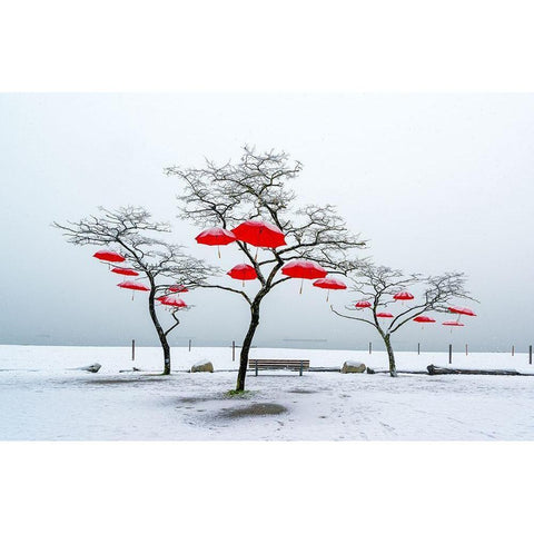 Red Umbrellas White Modern Wood Framed Art Print by Kostka, Vladimir