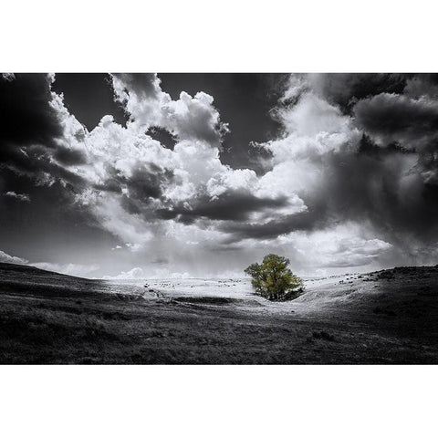 The Green Tree Black Modern Wood Framed Art Print with Double Matting by Kostka, Vladimir