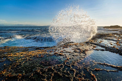 Splash II White Modern Wood Framed Art Print with Double Matting by Kostka, Vladimir