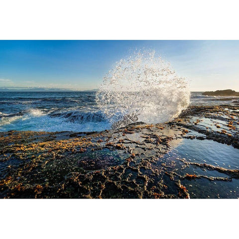 Splash II Gold Ornate Wood Framed Art Print with Double Matting by Kostka, Vladimir