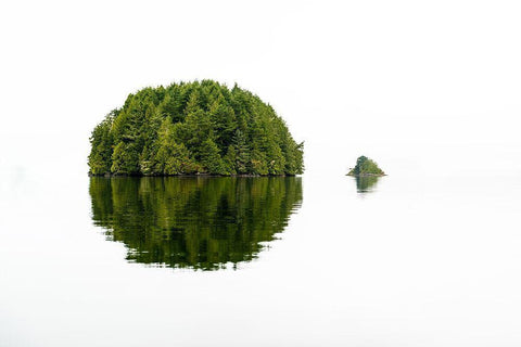 Green Island Black Ornate Wood Framed Art Print with Double Matting by Kostka, Vladimir