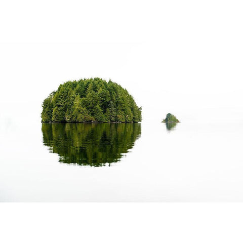 Green Island Black Modern Wood Framed Art Print by Kostka, Vladimir