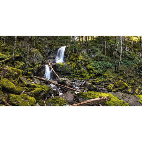 Stones And Waterfall Gold Ornate Wood Framed Art Print with Double Matting by Kostka, Vladimir