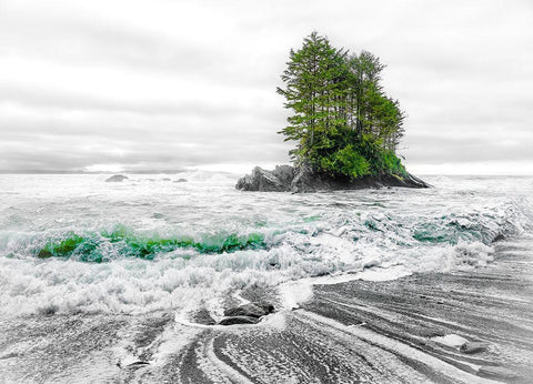 Waterworld Black Ornate Wood Framed Art Print with Double Matting by Kostka, Vladimir