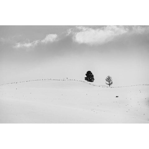 Lonely Trees Black Modern Wood Framed Art Print by Kostka, Vladimir